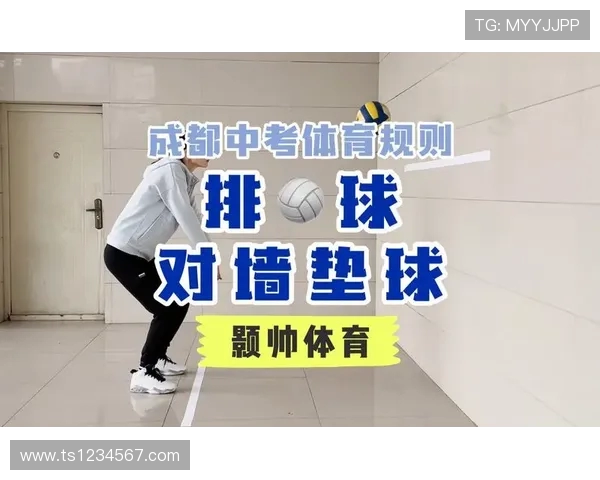 体育迷对体育赛事信息的获取渠